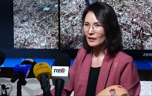 Аллага болгоныг өндрөөс унасан болгоод хэргийг хаах вий дээ гэв